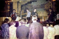 wildlife at bury palais